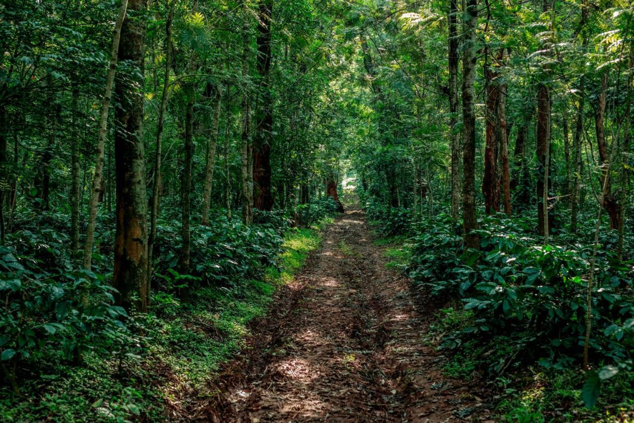 The Blossom Resort - Chikmagalur Bagian luar foto