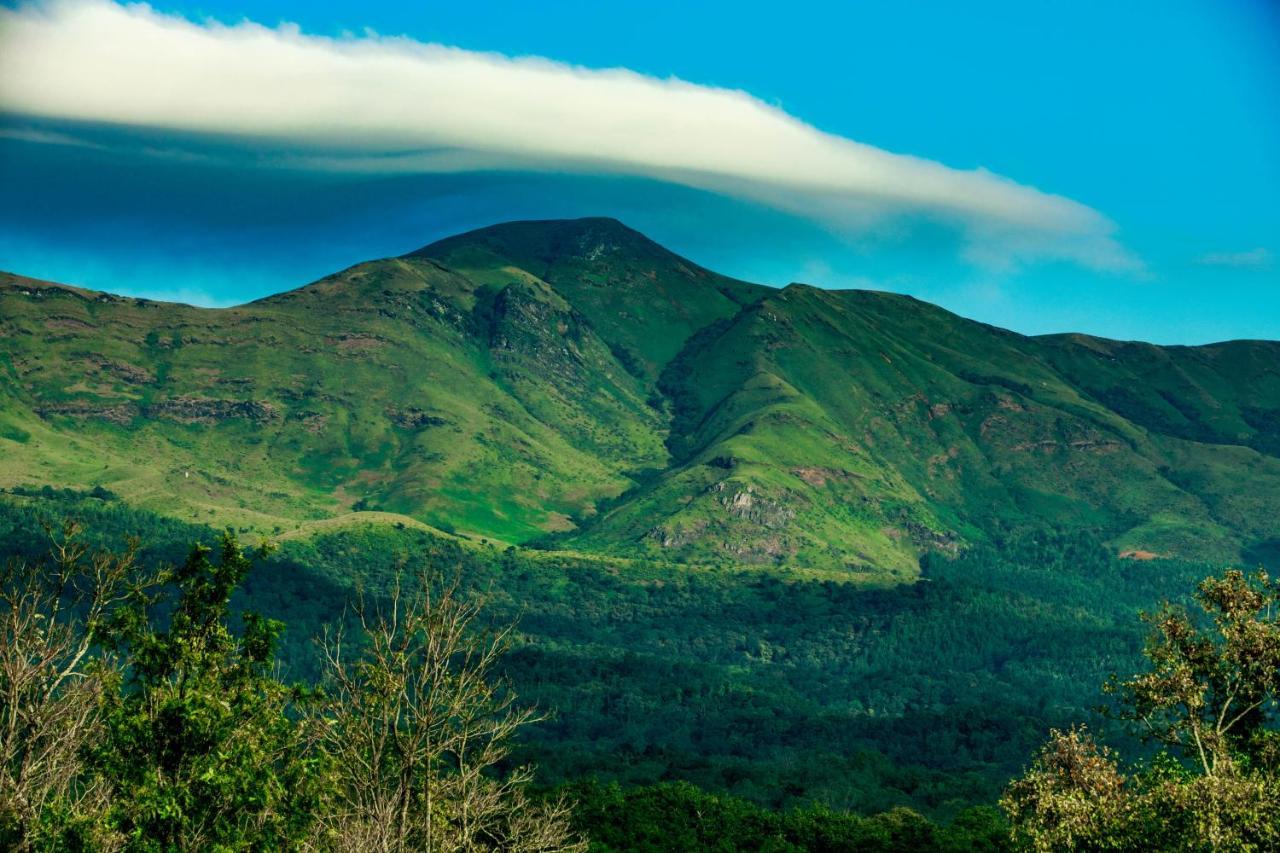 The Blossom Resort - Chikmagalur Bagian luar foto