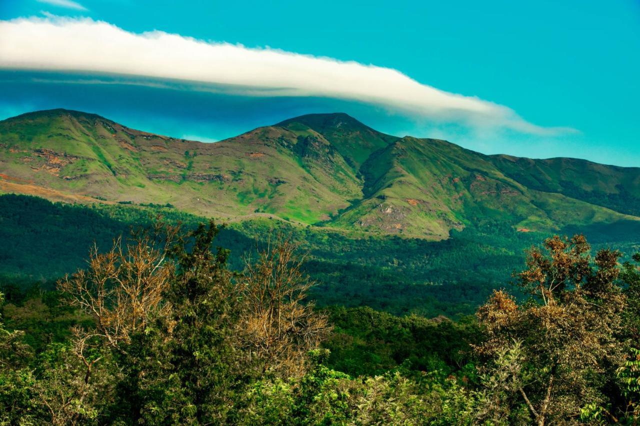 The Blossom Resort - Chikmagalur Bagian luar foto