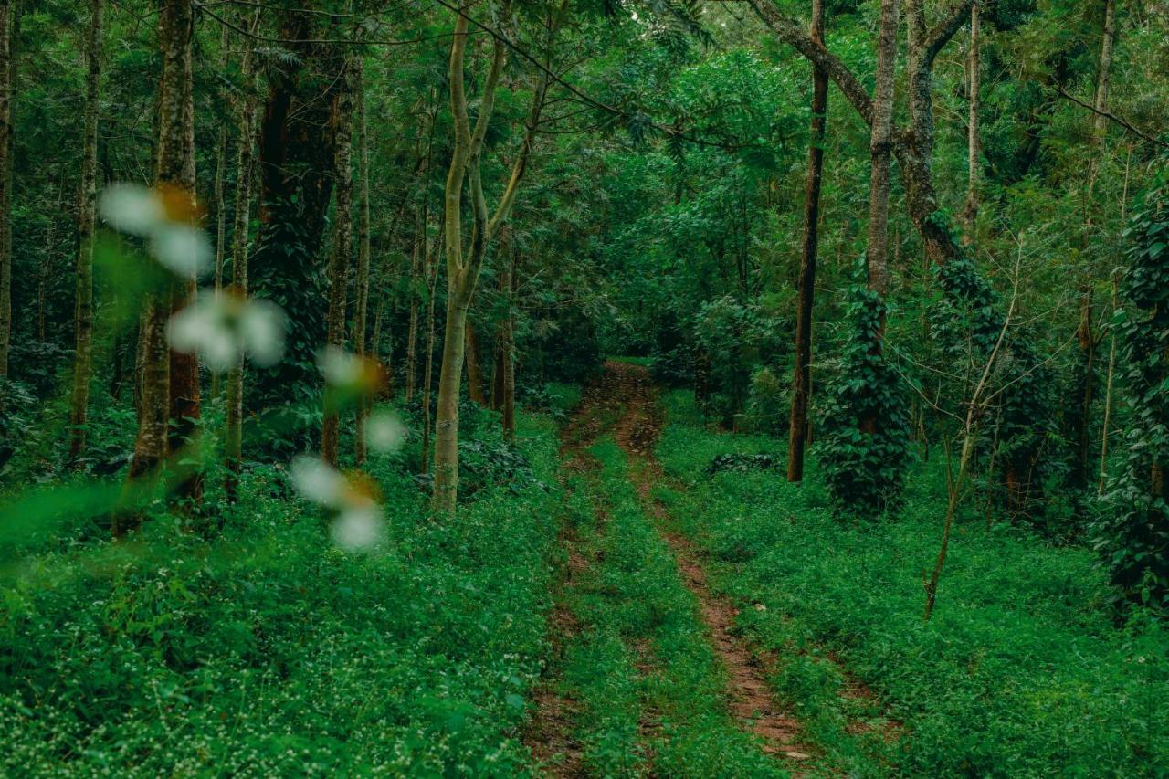 The Blossom Resort - Chikmagalur Bagian luar foto