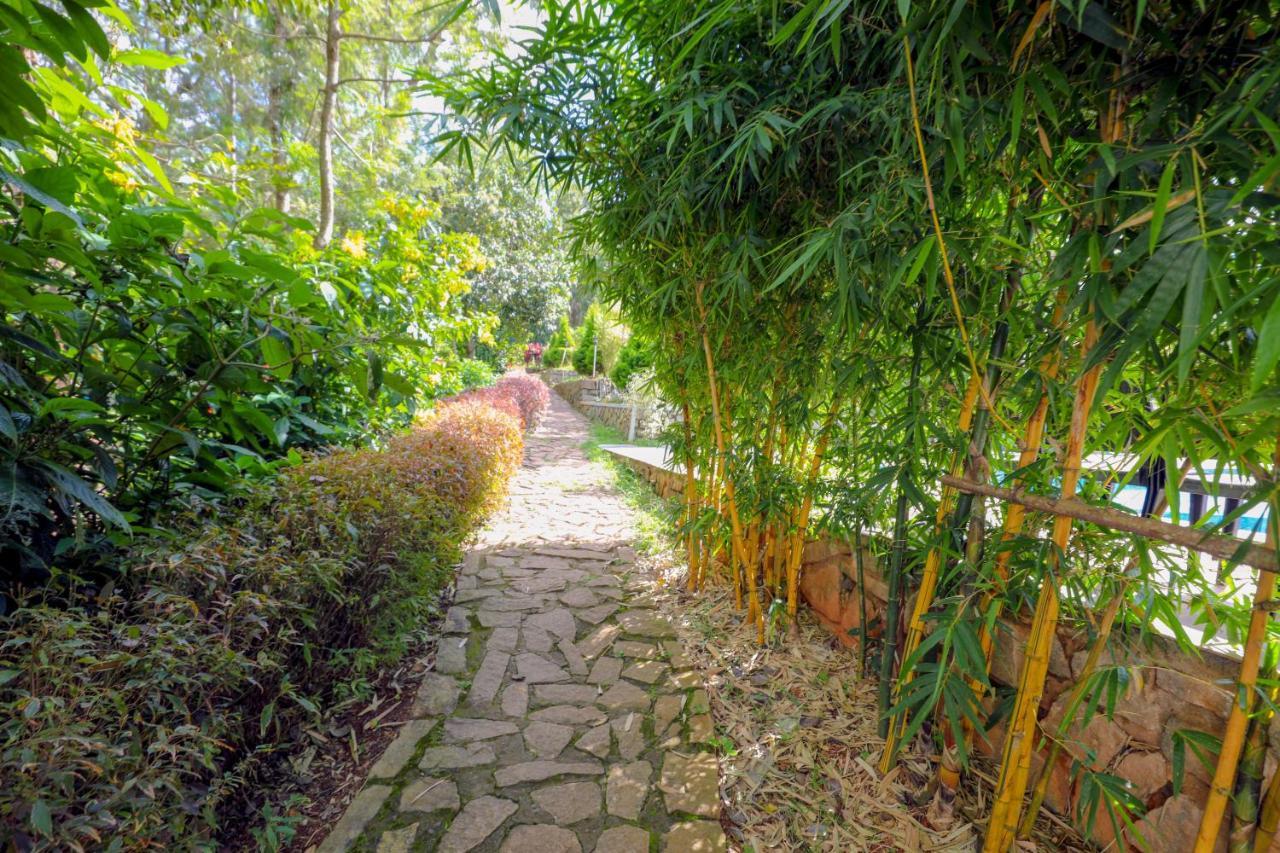The Blossom Resort - Chikmagalur Bagian luar foto