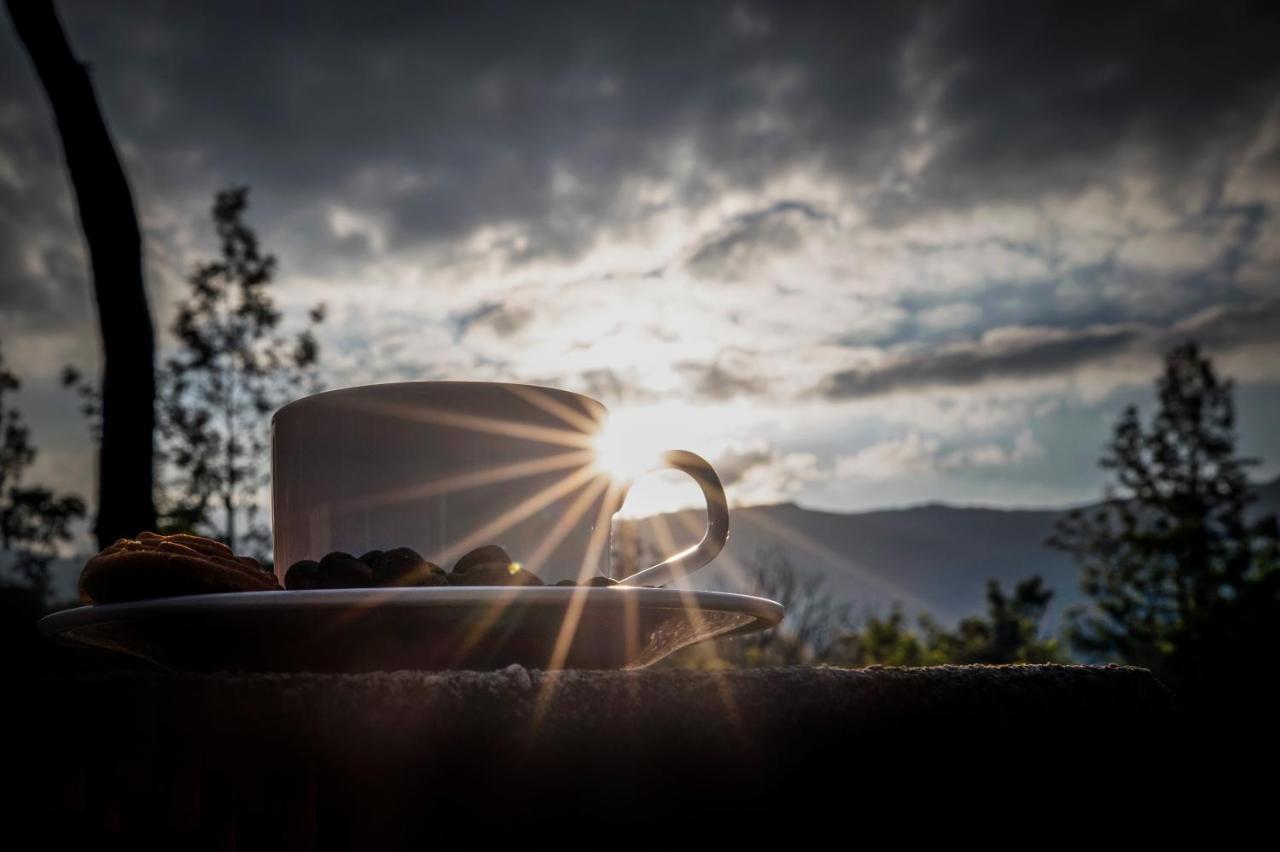 The Blossom Resort - Chikmagalur Bagian luar foto